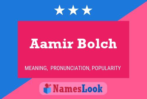 Постер имени Aamir Bolch