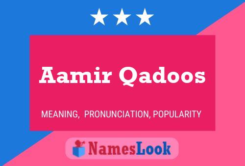 Постер имени Aamir Qadoos