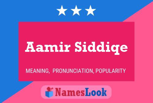 Постер имени Aamir Siddiqe