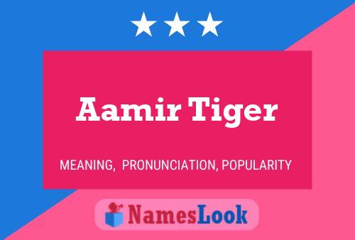 Постер имени Aamir Tiger