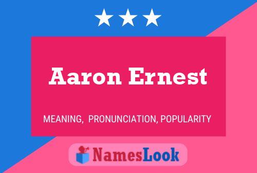 Постер имени Aaron Ernest