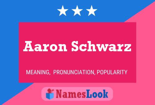 Постер имени Aaron Schwarz