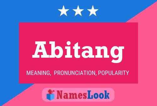 Постер имени Abitang