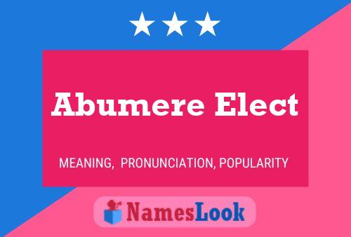 Постер имени Abumere Elect