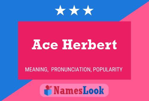 Постер имени Ace Herbert