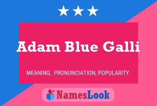 Постер имени Adam Blue Galli