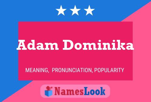 Постер имени Adam Dominika