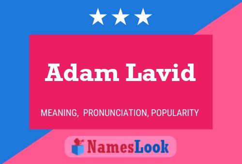 Постер имени Adam Lavid