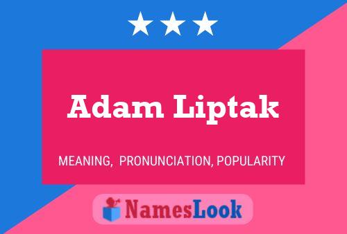 Постер имени Adam Liptak