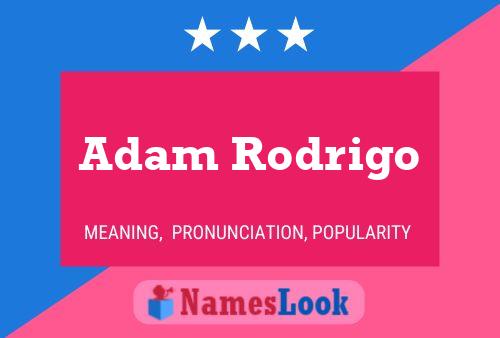 Постер имени Adam Rodrigo