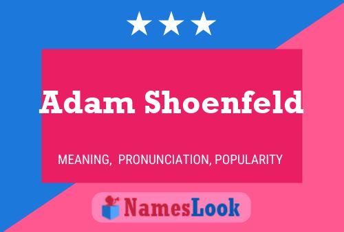 Постер имени Adam Shoenfeld