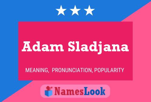 Постер имени Adam Sladjana