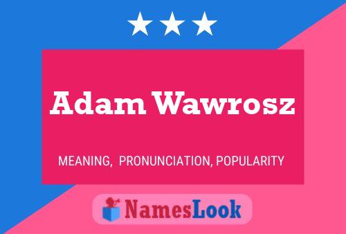 Постер имени Adam Wawrosz