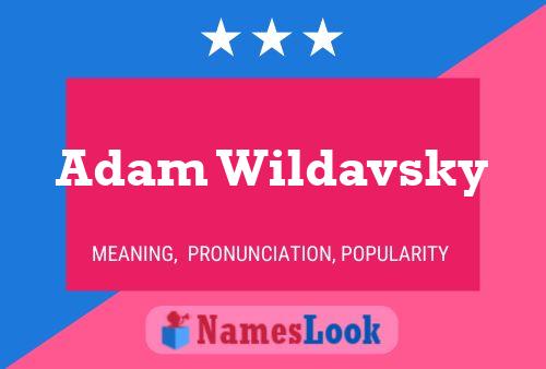 Постер имени Adam Wildavsky