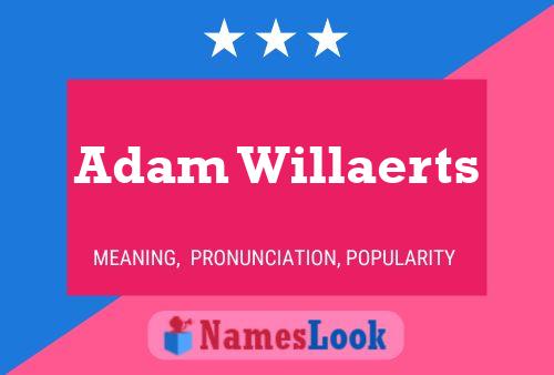 Постер имени Adam Willaerts