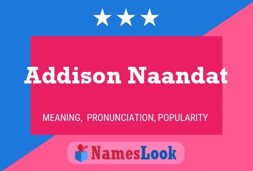 Постер имени Addison Naandat