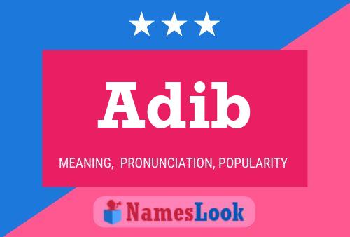 Постер имени Adib