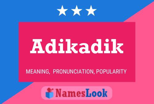 Постер имени Adikadik