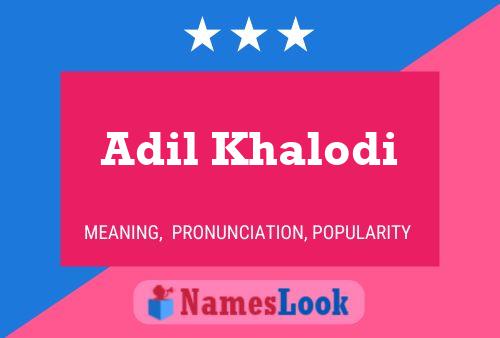 Постер имени Adil Khalodi