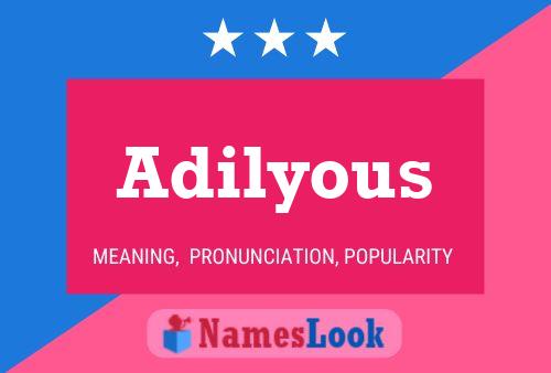 Постер имени Adilyous