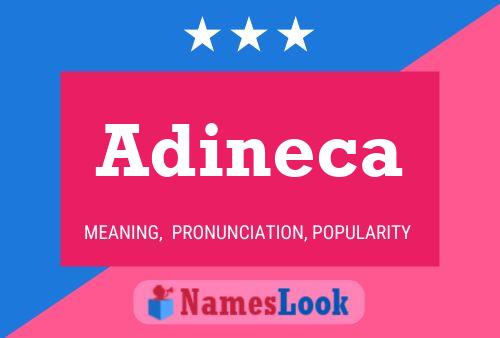 Постер имени Adineca