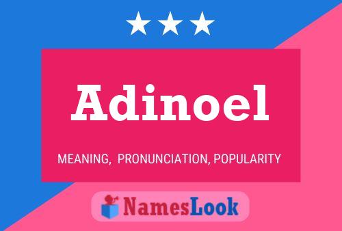 Постер имени Adinoel