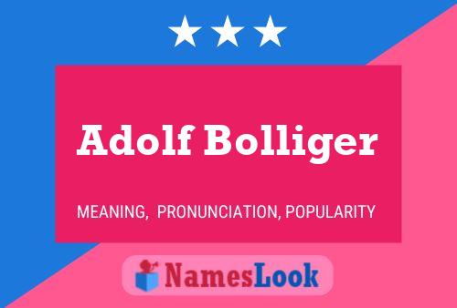 Постер имени Adolf Bolliger