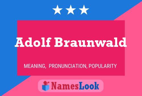 Постер имени Adolf Braunwald