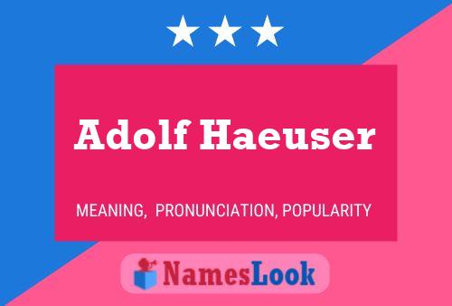 Постер имени Adolf Haeuser