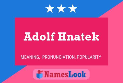 Постер имени Adolf Hnatek