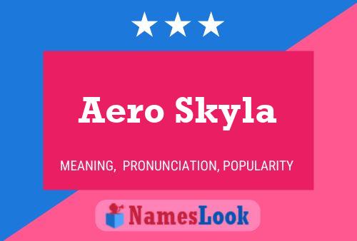 Постер имени Aero Skyla