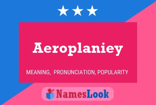 Постер имени Aeroplaniey