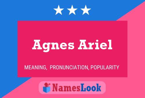 Постер имени Agnes Ariel