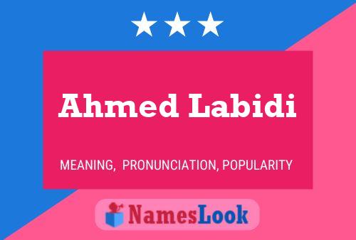 Постер имени Ahmed Labidi