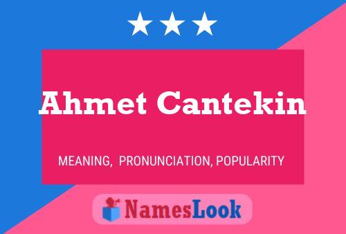 Постер имени Ahmet Cantekin