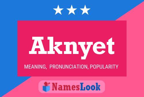 Постер имени Aknyet