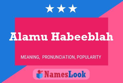 Постер имени Alamu Habeeblah