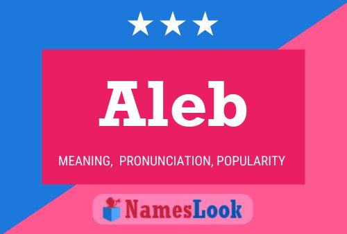 Постер имени Aleb