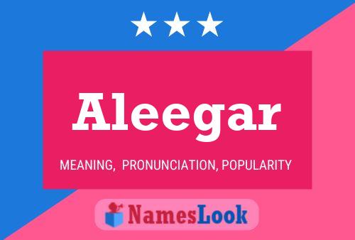 Постер имени Aleegar