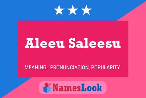 Постер имени Aleeu Saleesu