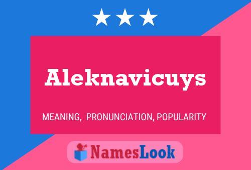 Постер имени Aleknavicuys