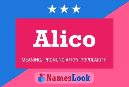 Постер имени Alico