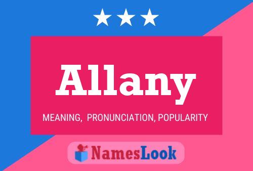 Постер имени Allany