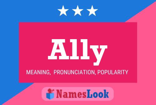 Постер имени Ally