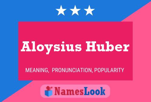 Постер имени Aloysius Huber