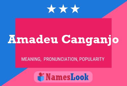 Постер имени Amadeu Canganjo