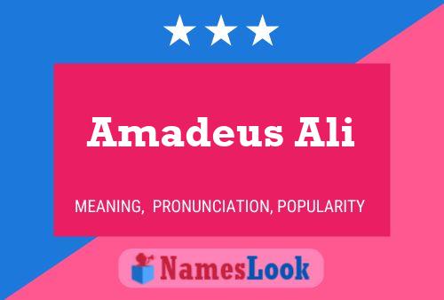 Постер имени Amadeus Ali