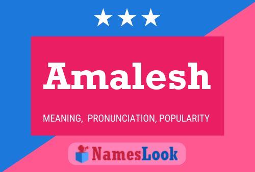 Постер имени Amalesh