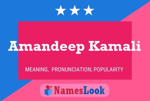 Постер имени Amandeep Kamali