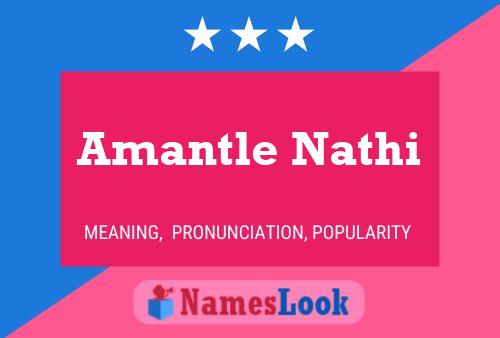 Постер имени Amantle Nathi